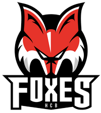 БОЛЬЦАНО ФОКСЕС